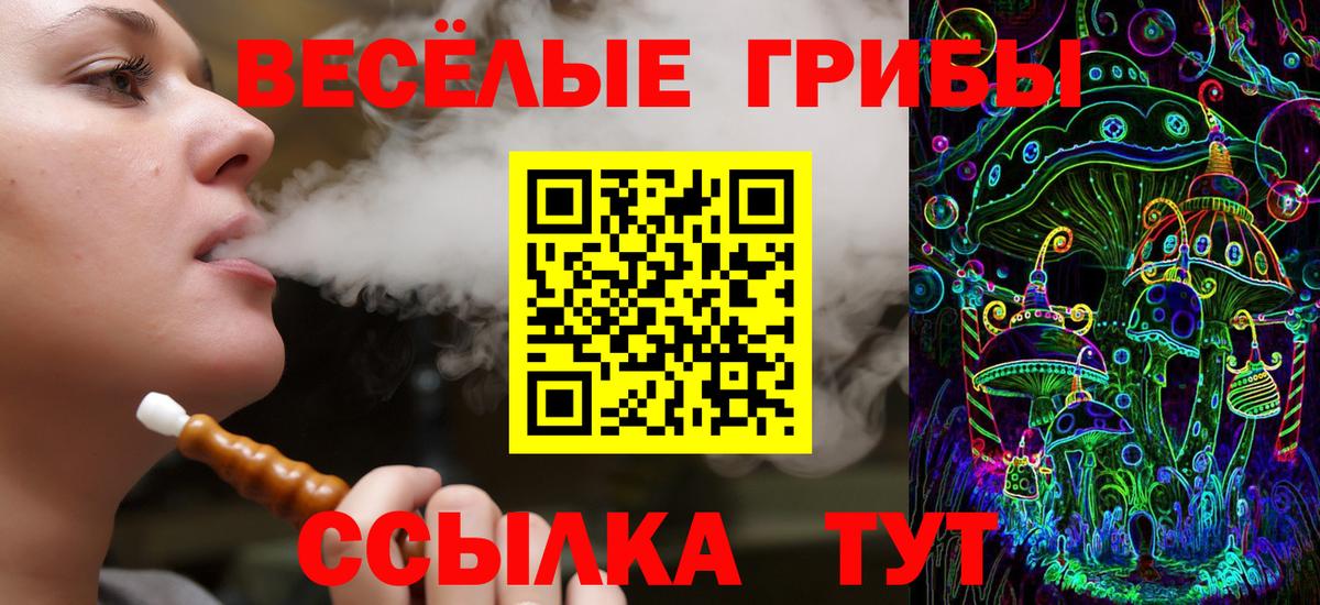 Галлюциногенные грибы мицелий Шатура